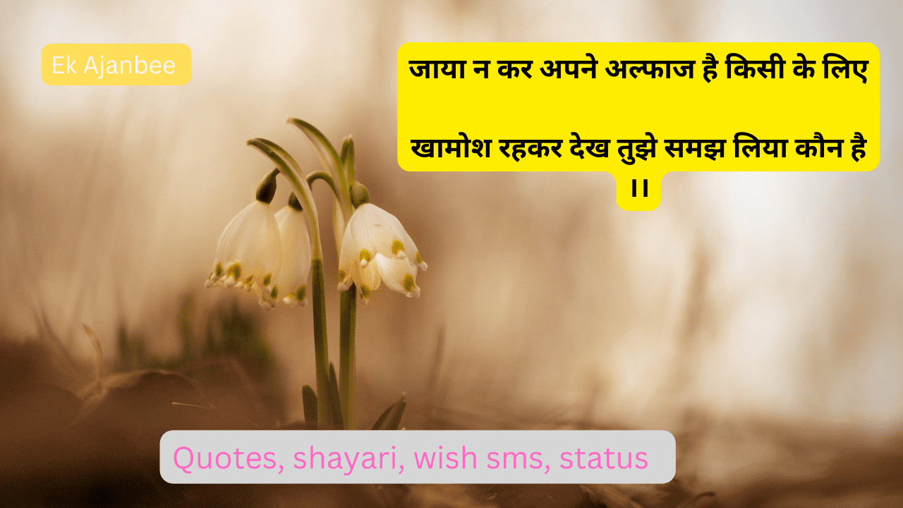 Hindi shayari in hindi 2023, shayari image, hindi shayari image